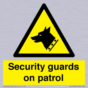 Security guards on patrol